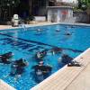 Phuket Scuba diving training center - Phuket Dive Tours