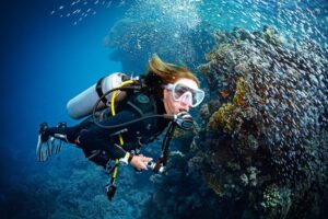 Best Scuba Diving Prices in Phuket