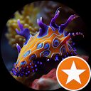 Peter profile picture