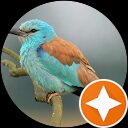 cuco riedka profile picture