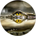 Steven Krieger profile picture