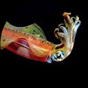 Éva Edelsquid profile picture