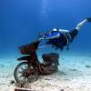 Scuba Diving in Phuket at Racha Yai island