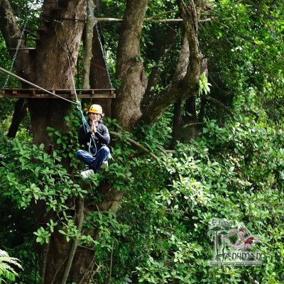 Best zip line Flying Hanuman Jungle Tour - Phuket Tours
