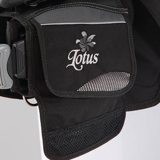 Lotus BCD - Image 8
