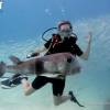 Scuba Diving Phuket Marine life at Racha Yai island