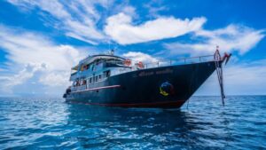 Phuket Dive Tours Chalong Scuba Diving Day Trips