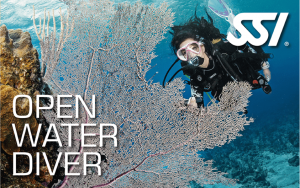 Phuket open water diver course