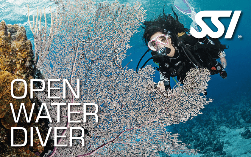 SSI Open Water Diver Course in Phuket