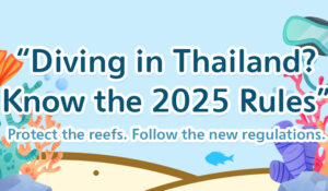 New laws for Protecting Coral Reefs in Thailand 2025
