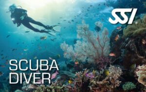 SSI Scuba Diver Course Phuket