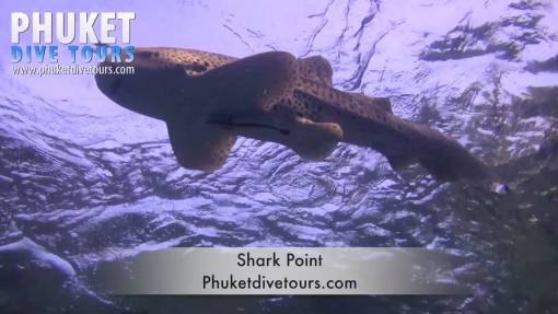 Shark Point Scuba diving Phuket Thailand