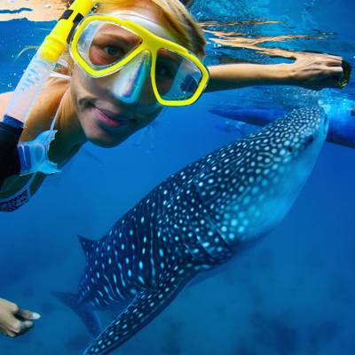 Snorkeling in the Similan Islands with Phuket Dive Tours