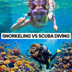 What’s the Difference Between Snorkeling and Scuba Diving