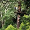 Sliding down the zip line