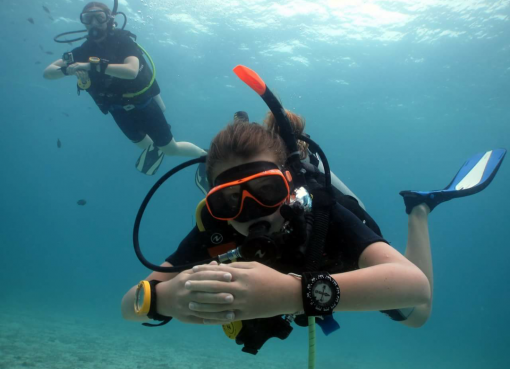 basic diver course for beginner