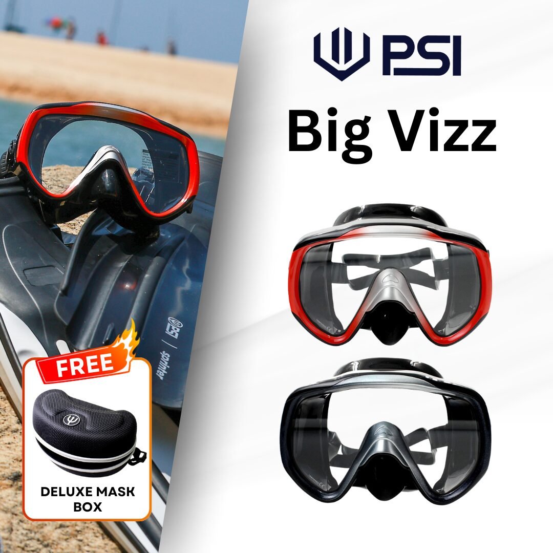 big viz cover