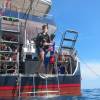 Private Dive Boat Day Trip - Image 45