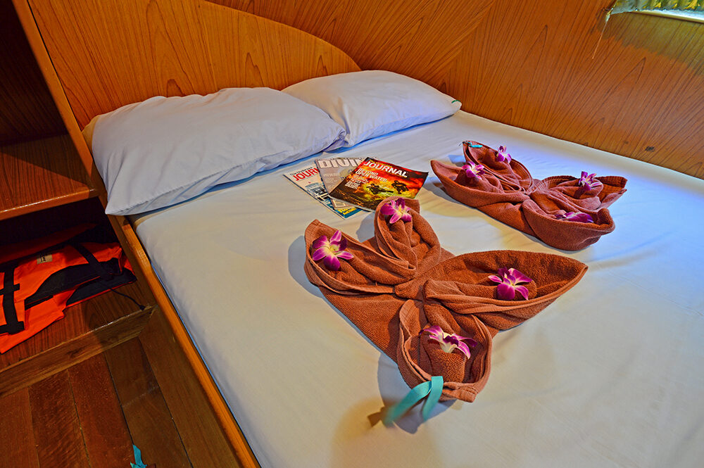 double bed cabin on manta queen 2