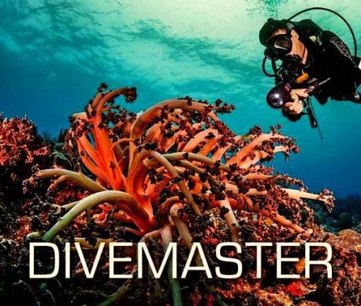eLearning - Scuba Diving online diving courses - Image 5