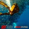 elearning diving courses