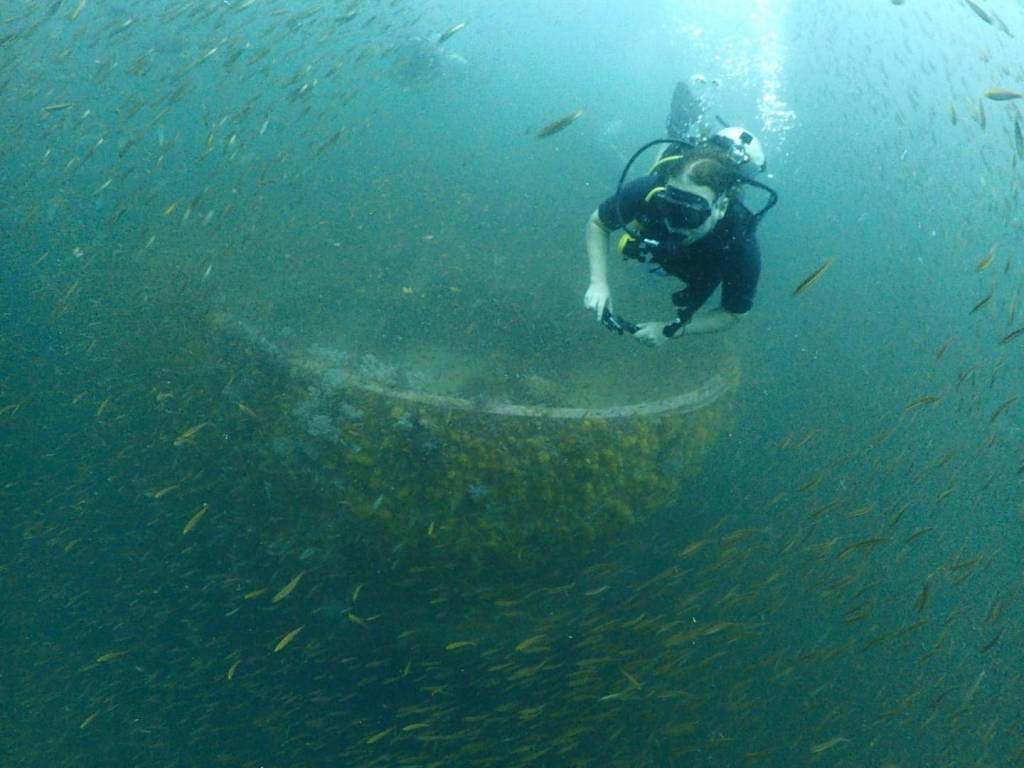 Diving at the king cruiser wreck