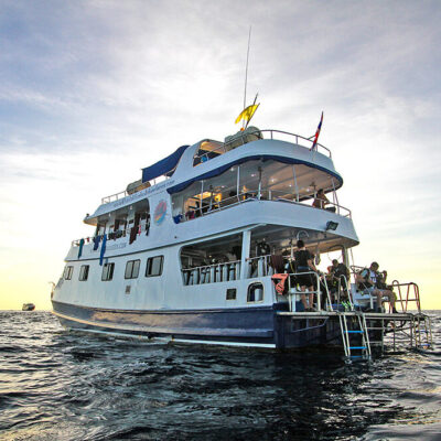 manta Queen 2 liveaboard in the similan islands
