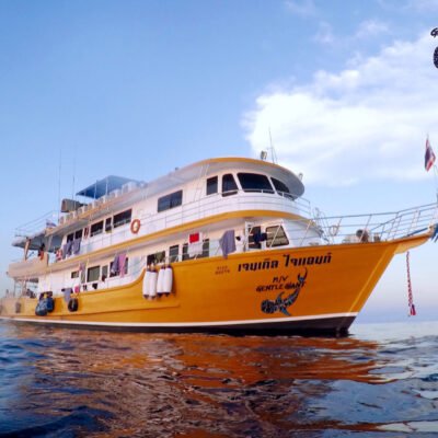 mv gentle giant