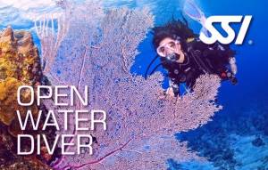 SSI Open water diver course