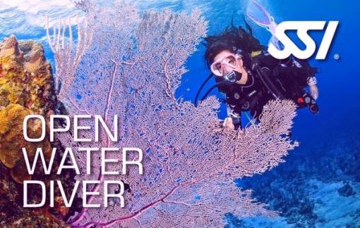 open water diver course