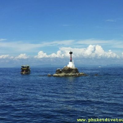 shark point scuba diving Phuket