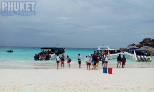 Similan island day trippers