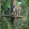 Cradle suspended from a zip line