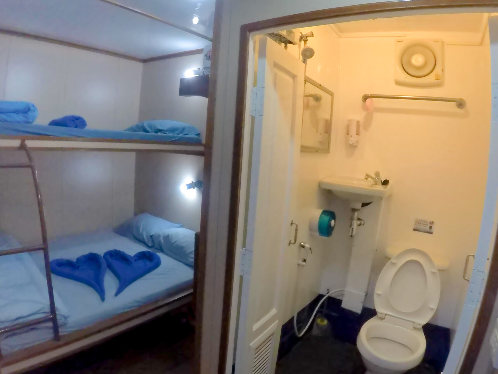 twin bunk ensuite cabin on manta queen 3